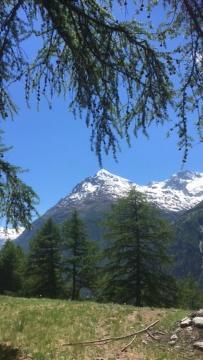 Apartamento Haus Valaisia - Randa Bei Zermatt Exterior foto